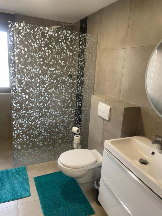 Superbe Appartement Au Rdc Avec Cheminee Villerupt Eksteriør billede